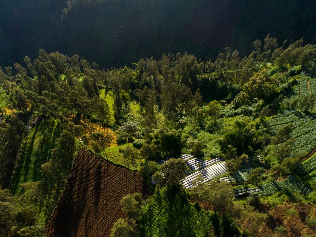 Plataran Bromo Hotel Exterior foto